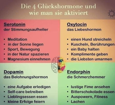 4 Glückshormone