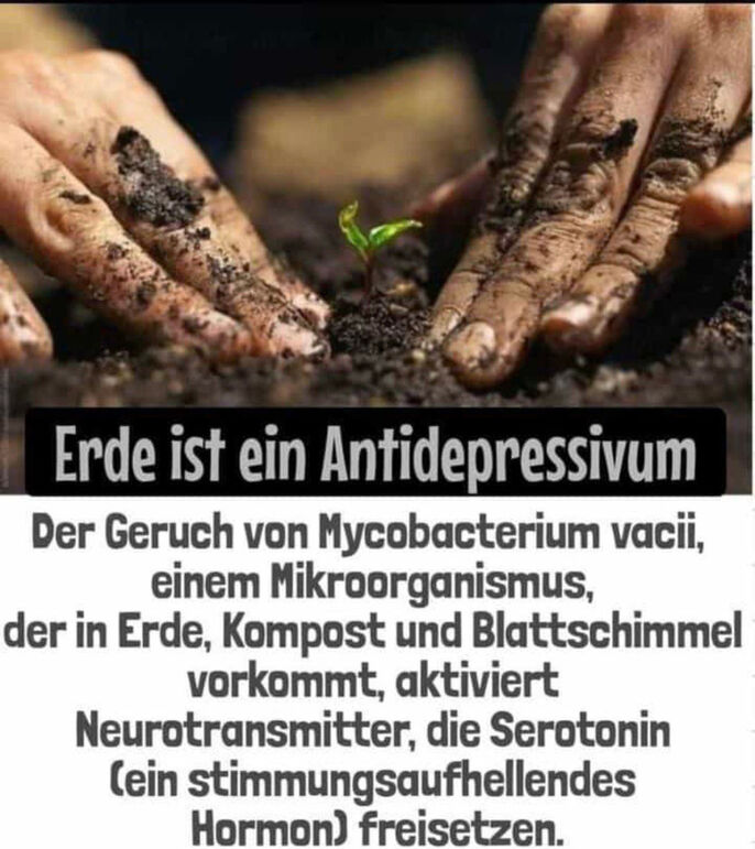 Erde ist ein Antidepressivum