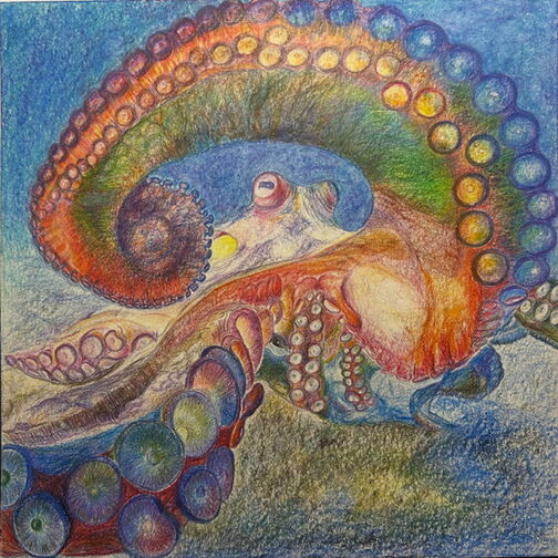 Ausstellung | Honorata Nawrocki | EinfachBilder